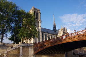 IMGP0737.JPG