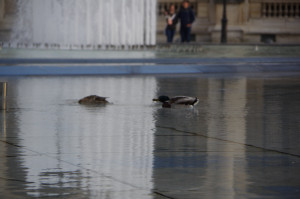 IMGP0750.JPG