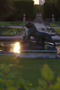 IMGP0761.JPG