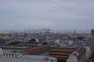 IMGP0801.JPG