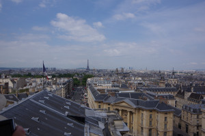 IMGP0803.JPG