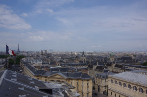 IMGP0806.JPG