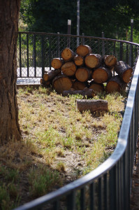IMGP0998.JPG