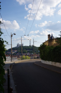 IMGP1010.JPG