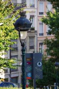 IMGP1020.JPG