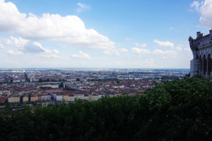 IMGP1059.JPG