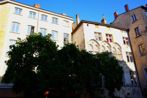 IMGP1068.JPG