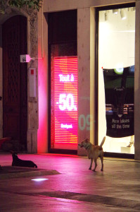 IMGP1101.JPG