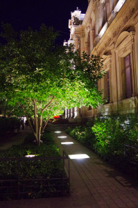 IMGP1105.JPG