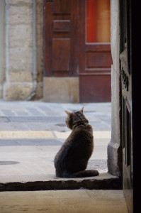 IMGP1160.JPG