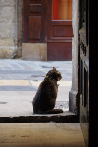 IMGP1161.JPG