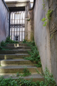IMGP1164.JPG