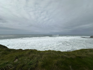IMG_6649.jpeg
