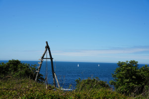 DSC01244.jpg