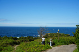 DSC01242.jpg