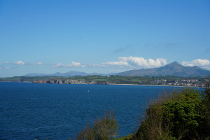 DSC01245.jpg