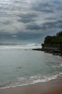 DSC01033.jpg