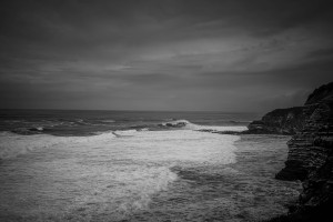 DSC01040.jpg