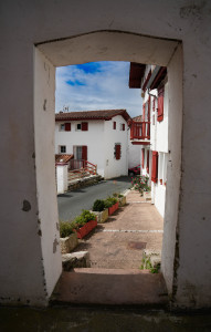 DSC01184.jpg